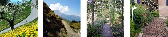 Bildquellen: 01. data1.blog.de/02. ryter-hermann.ch/03. radreisen-mecklenburg.de/04. gartenblick.de